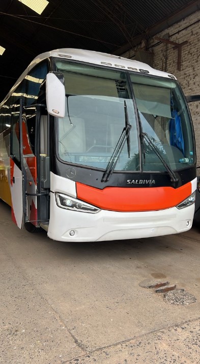 Mercedes Benz Saldivia