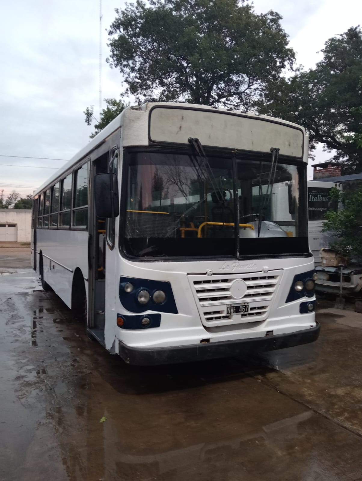 Mercedes Benz La Favorita