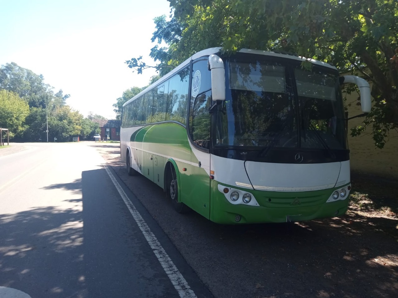 Mercedes Benz Saldivia