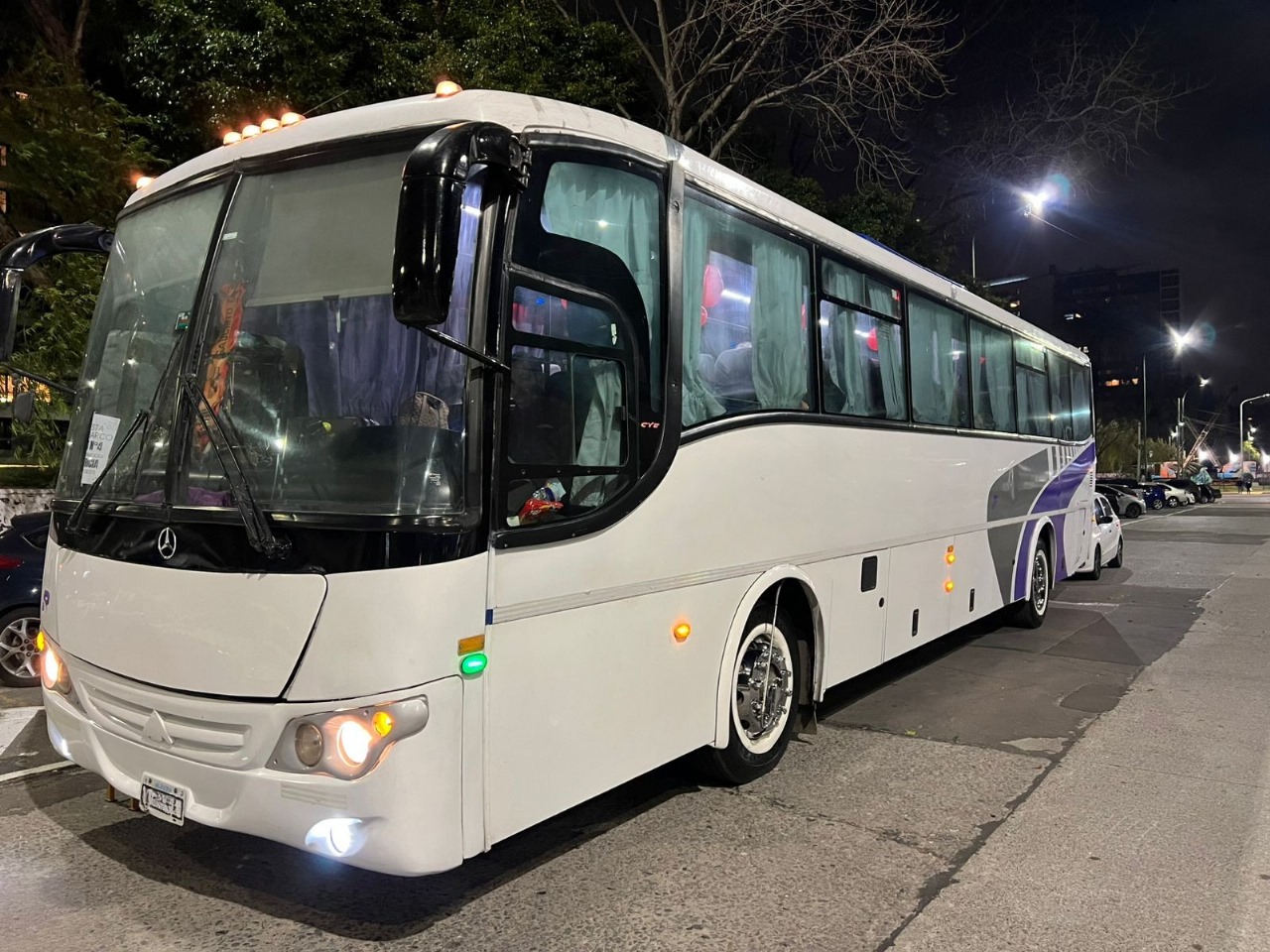 Mercedes Benz Saldivia