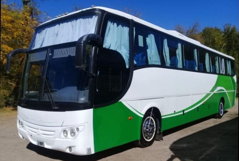 Mercedes Benz Saldivia