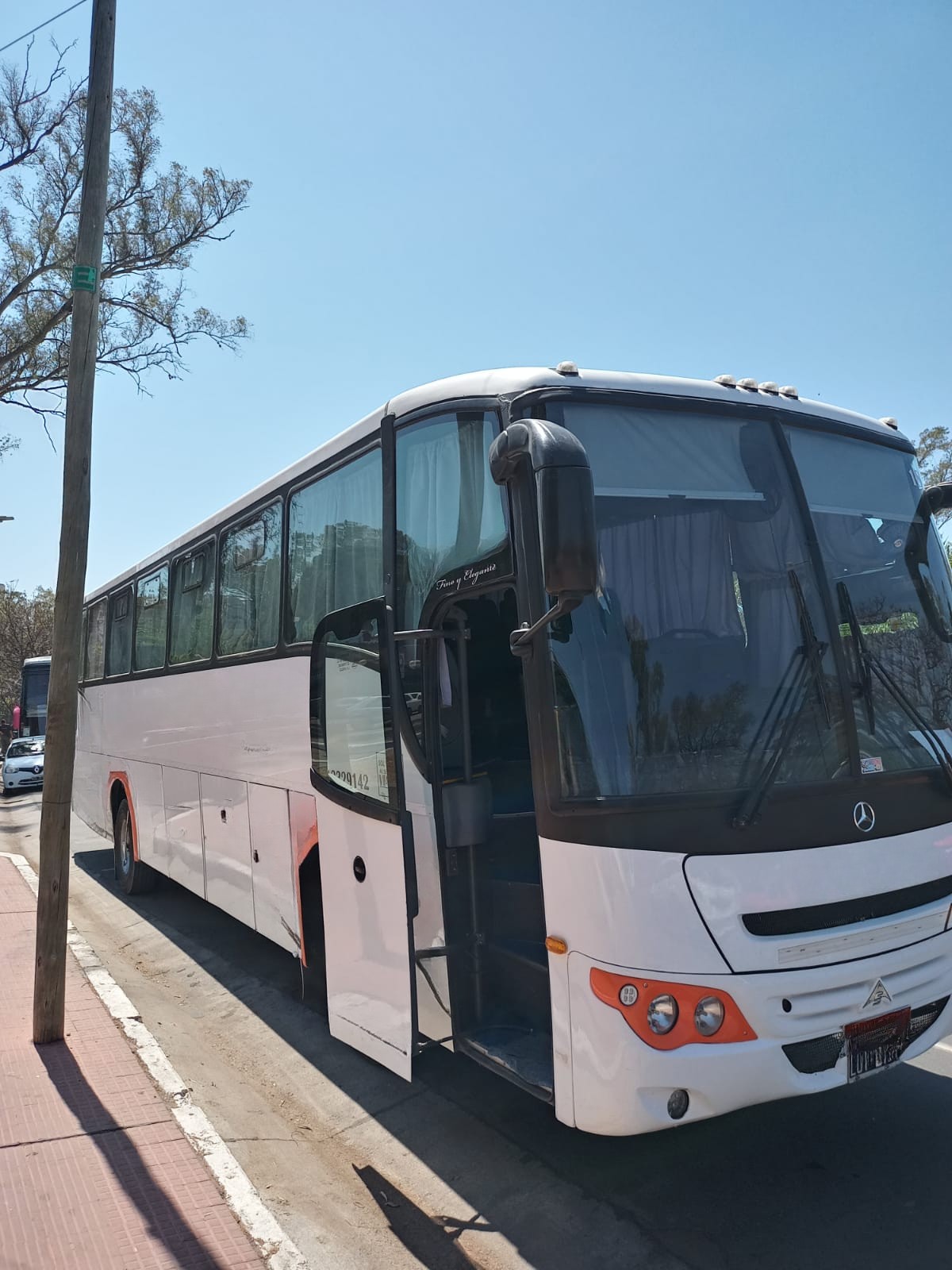 Mercedes Benz Saldivia