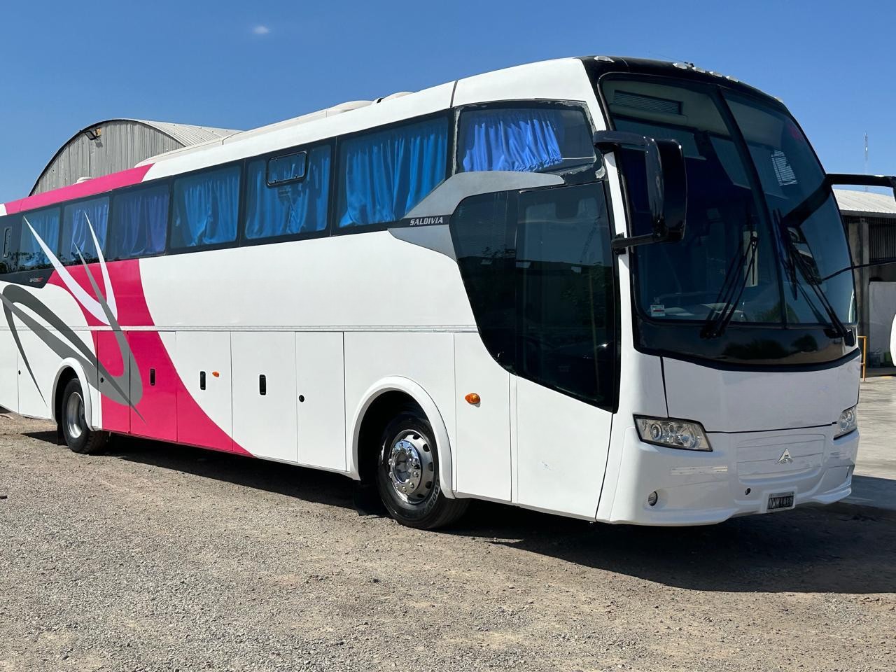 Mercedes Benz Saldivia