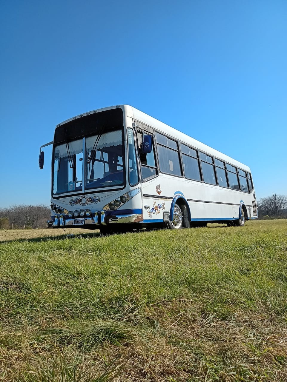 Mercedes Benz Metalpar