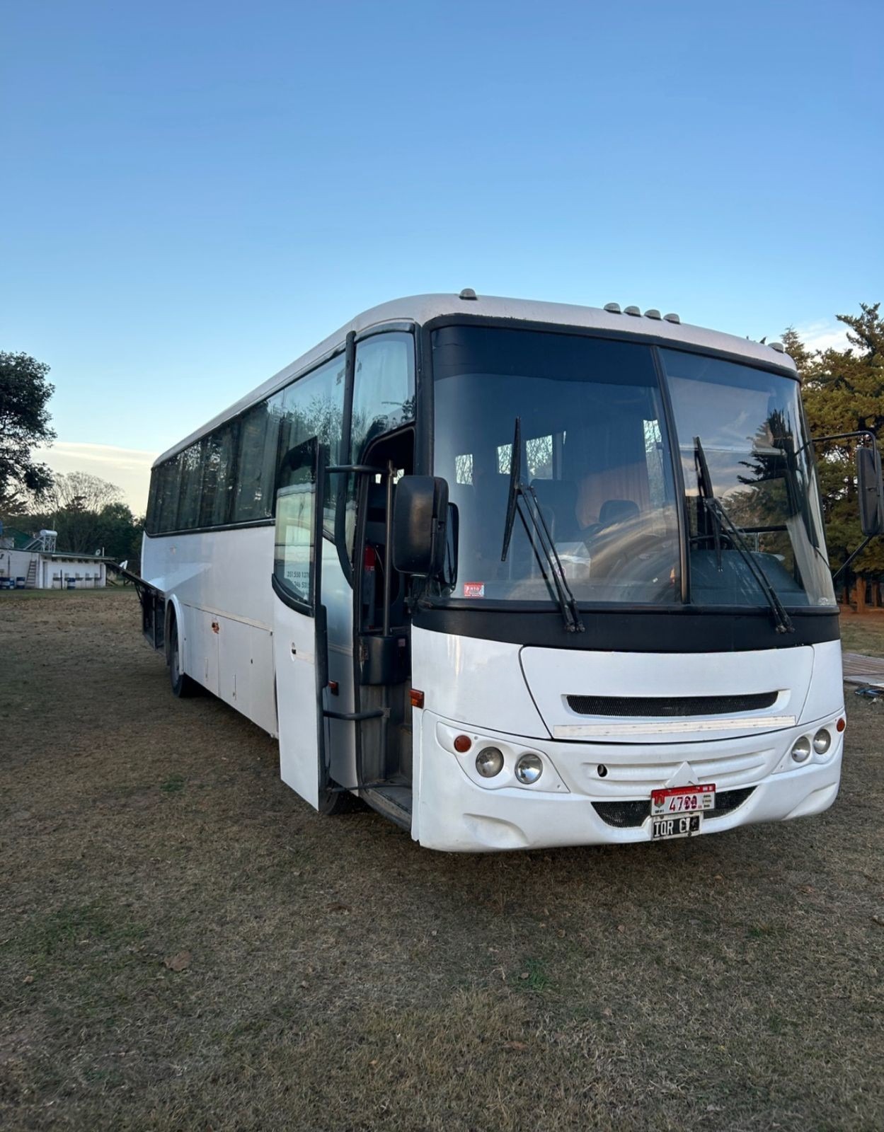 Mercedes Benz Saldivia