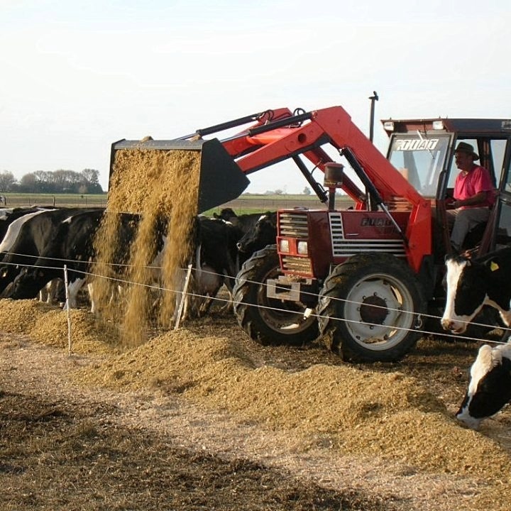 Pala Forrajera PF500 .