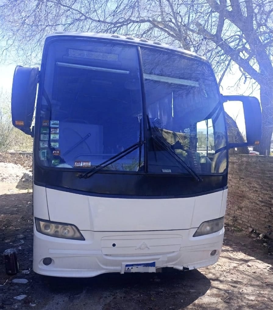 Mercedes Benz Saldivia