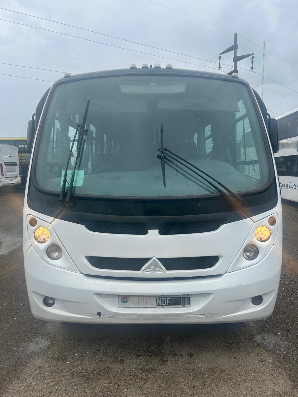 Mercedes Benz Saldivia