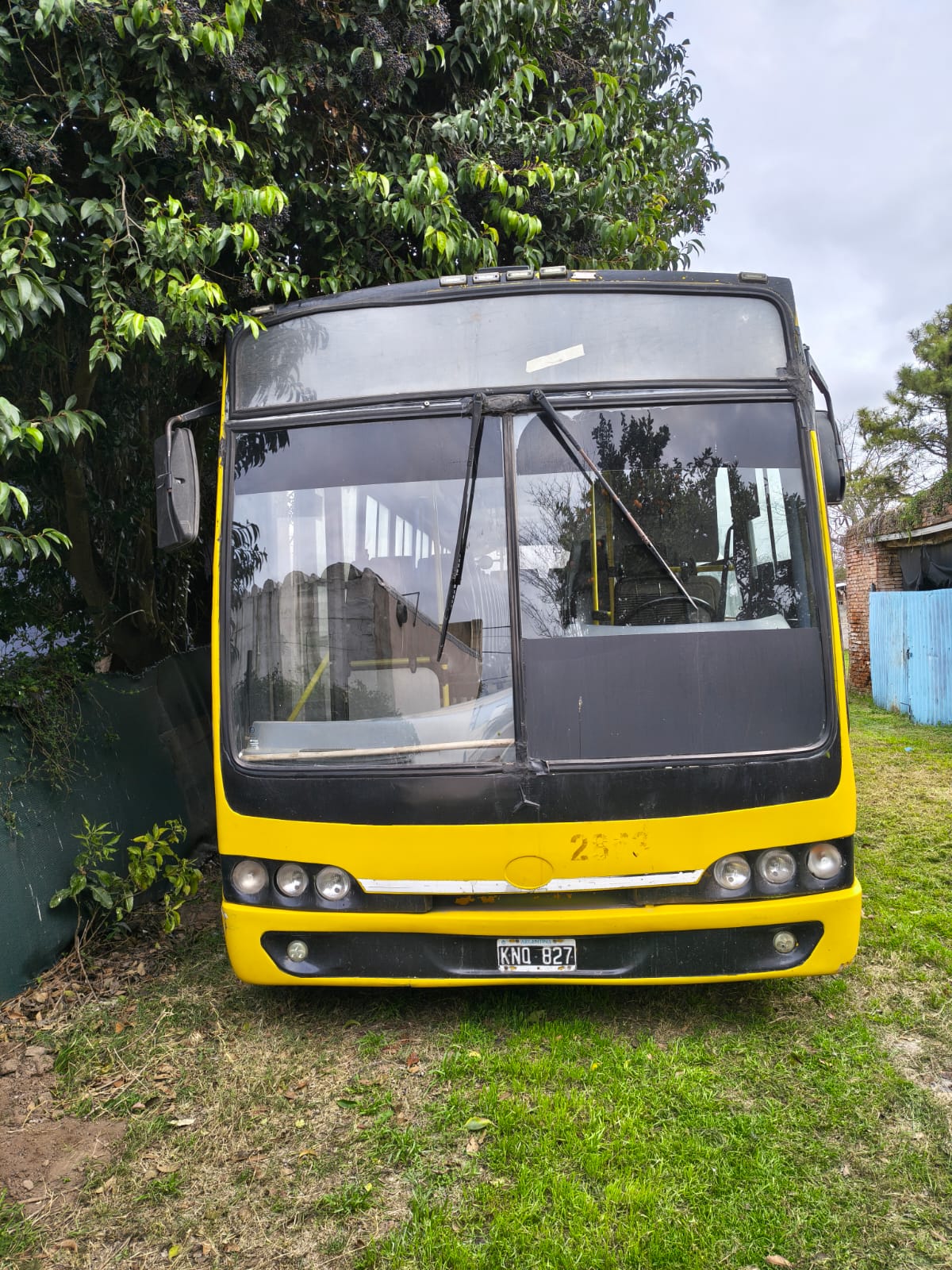 Mercedes Benz NuovoBus