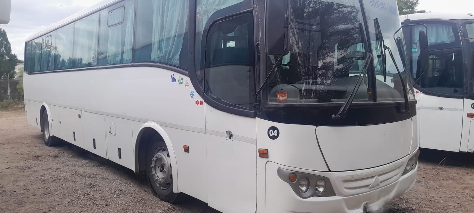 Mercedes Benz Saldivia